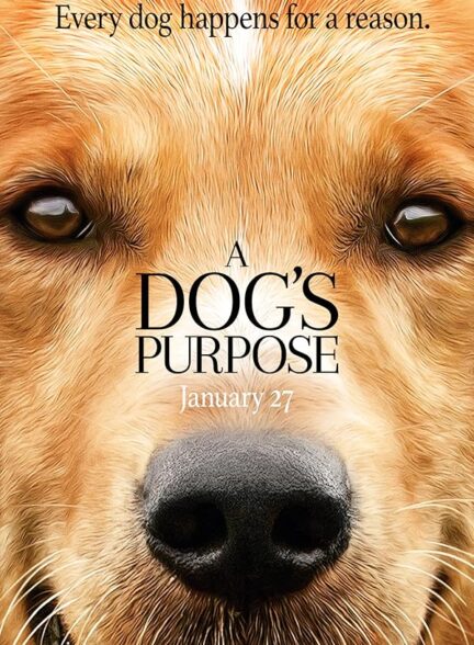 A Dog’s Purpose