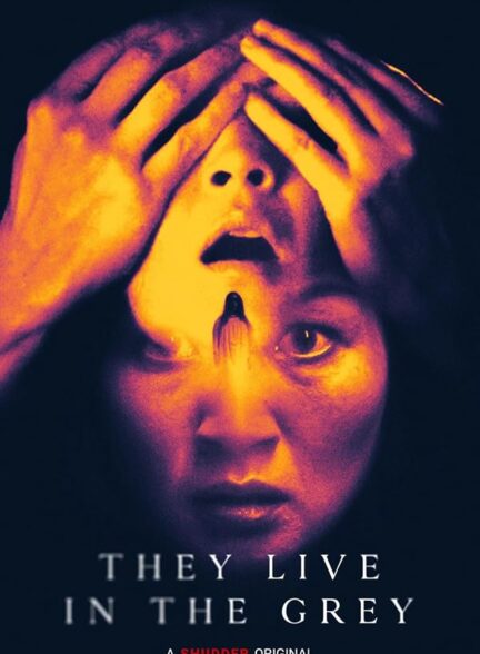 They Live in the Grey